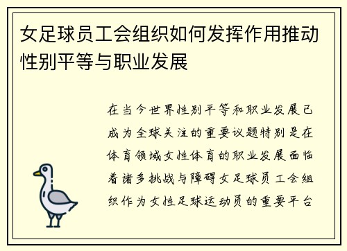女足球员工会组织如何发挥作用推动性别平等与职业发展